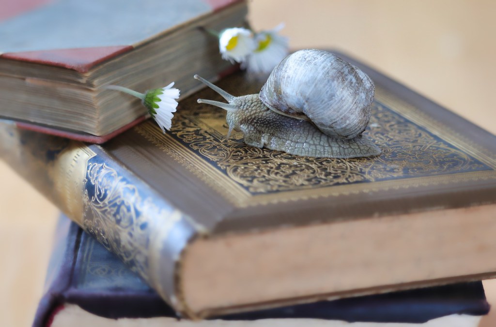 Final Reflection on my Professional&nbsp;Development