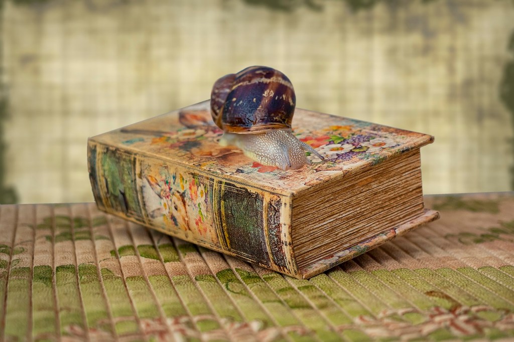 Reflection on my Professional Development regarding Book&nbsp;Awards