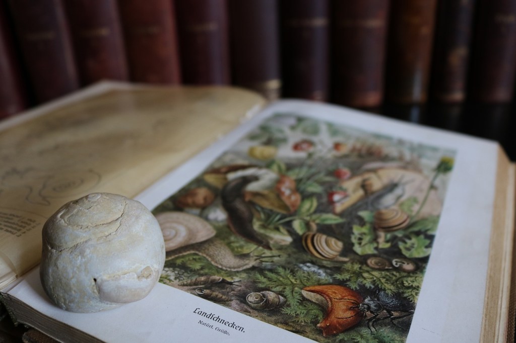 Reflection on my Professional Development regarding Emerging&nbsp;Technologies